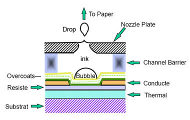 Thermal inkjet print head