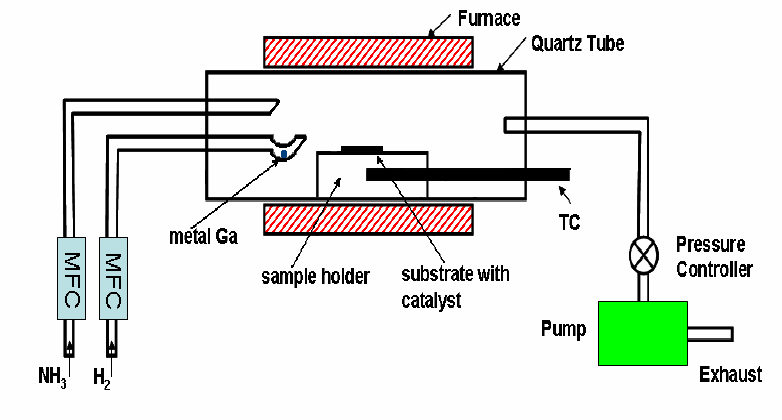 Schematic diagram of the thermal chemical vapor deposition (CVD) reactor.