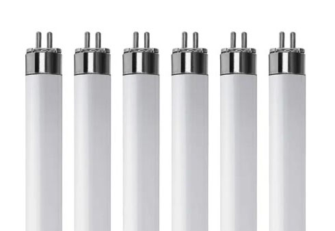 Fluorescent Lamps